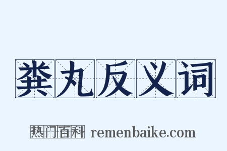 粪丸反义词是什么意思的图片